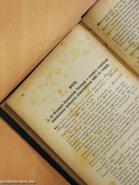 A vizjogi törvény, a tiszai törvény és az ezekre vonatkozó rendeletek (rossz állapotú)