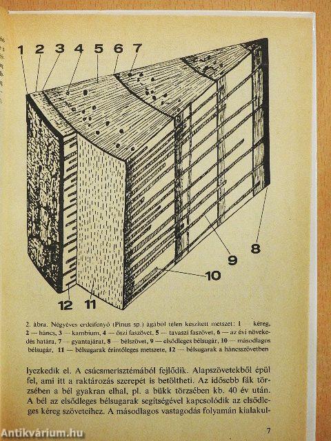 Öreg fák, díszfák ápolása