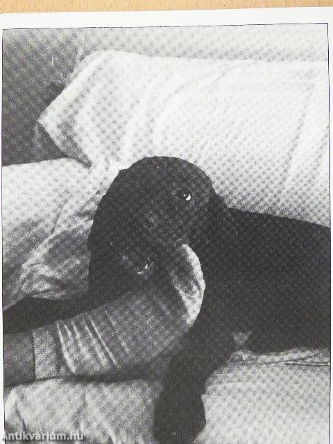 Foglaljon helyet! 2. 94/95 