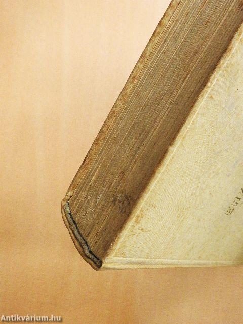 Erzsébet magyar királyné