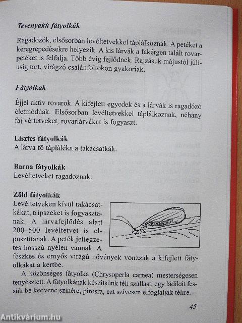 Az ökokertek növényvédelme