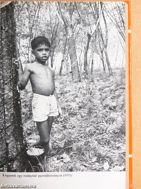 A távolságot, mint üveggolyót...