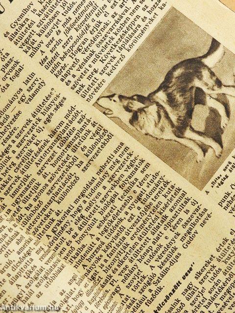 Élet és Tudomány 1951-1952. (nem teljes évfolyamok)