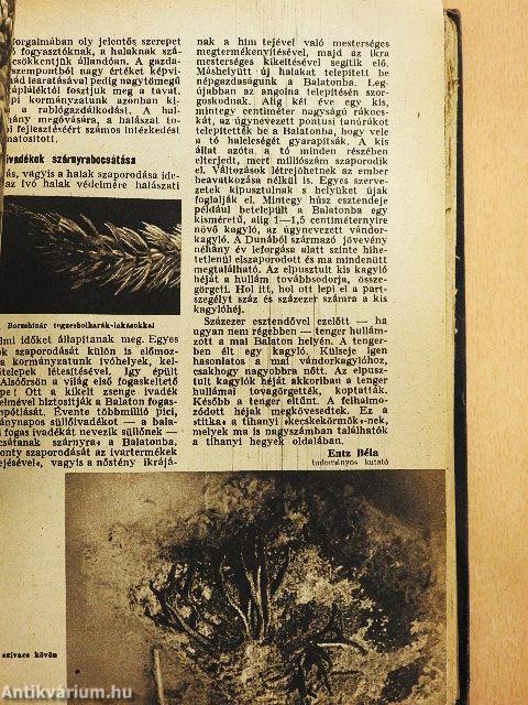 Élet és Tudomány 1951-1952. (nem teljes évfolyamok)