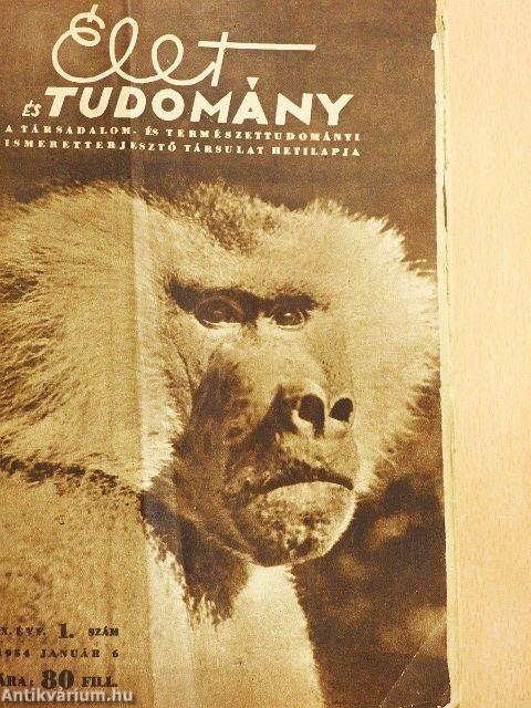 Élet és Tudomány 1954. (nem teljes évfolyam) I-II.