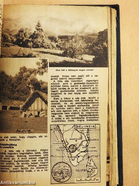 Élet és Tudomány 1954. (nem teljes évfolyam) I-II.