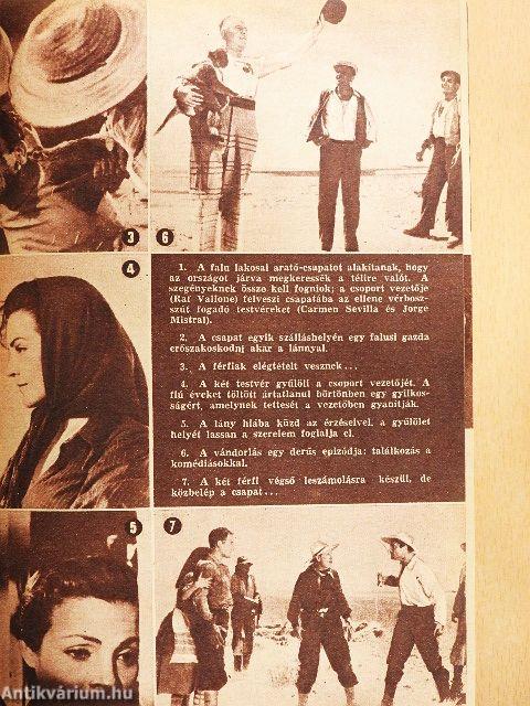 Film-Színház-Muzsika 1962. (nem teljes évfolyam)