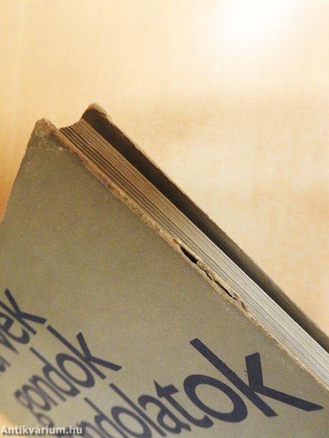 Tervek, gondok, gondolatok