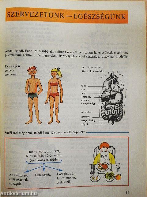 Nyitnikék 2.