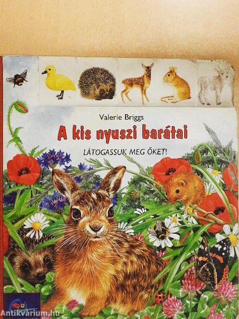 A kis nyuszi barátai