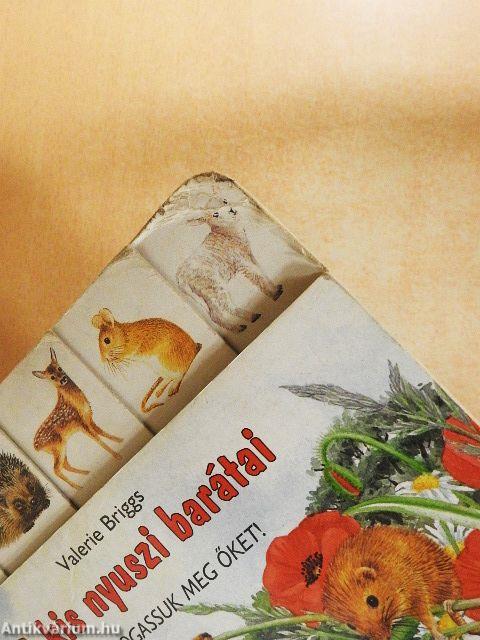 A kis nyuszi barátai