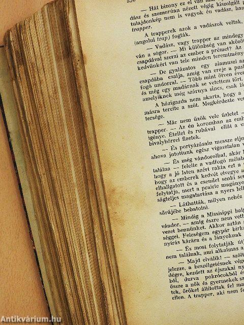 A nagy indiánuskönyv (rossz állapotú)