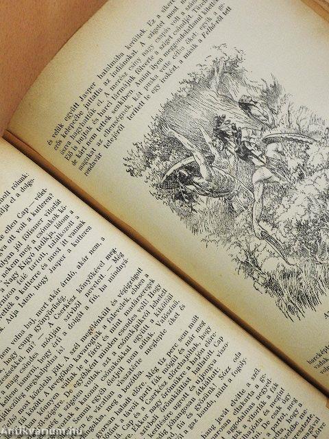 A nagy indiánuskönyv (rossz állapotú)