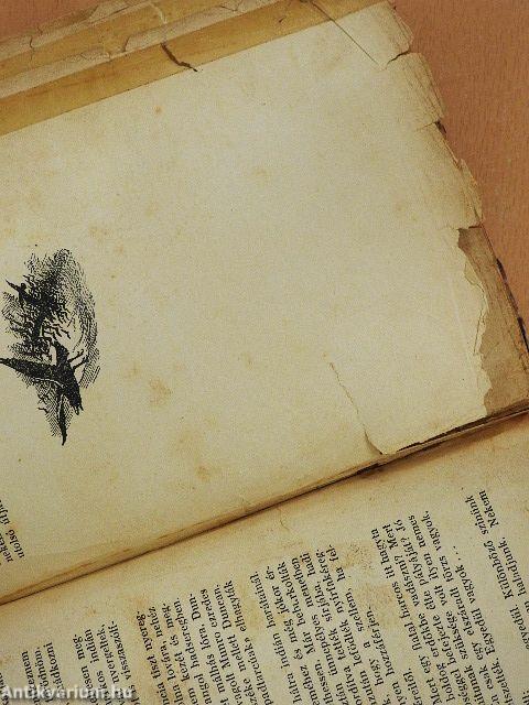 A nagy indiánuskönyv (rossz állapotú)