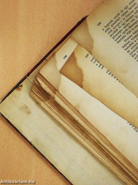 A nagy indiánuskönyv (rossz állapotú)