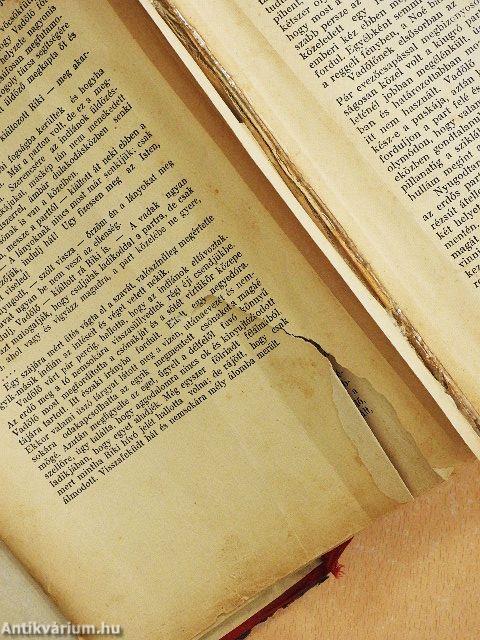 A nagy indiánuskönyv (rossz állapotú)