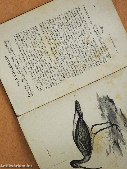 A madarak hasznáról és káráról (rossz állapotú)