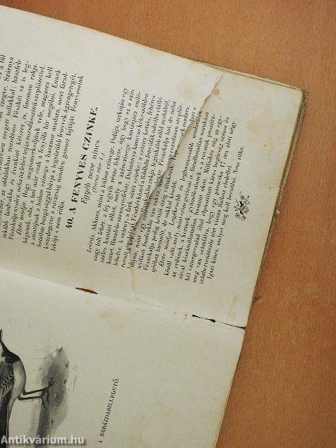 A madarak hasznáról és káráról (rossz állapotú)