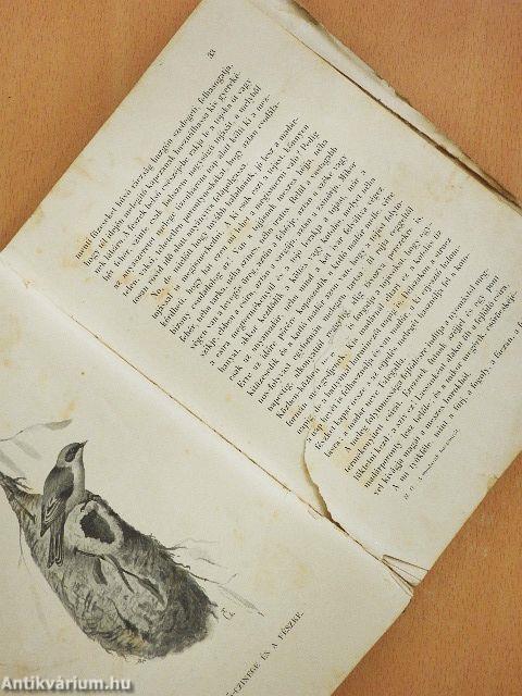 A madarak hasznáról és káráról (rossz állapotú)