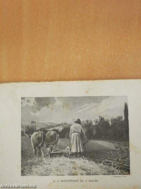 A madarak hasznáról és káráról (rossz állapotú)