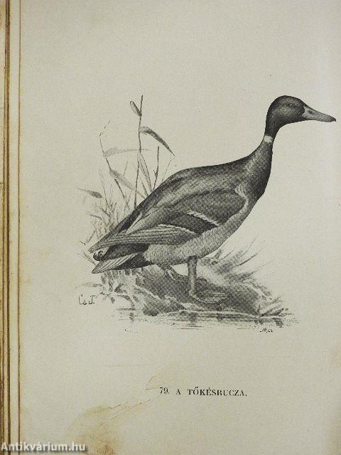 A madarak hasznáról és káráról (rossz állapotú)