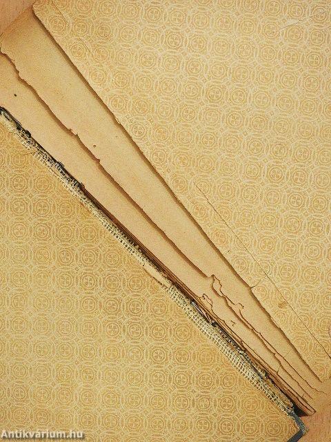 A gőzház (rossz állapotú)