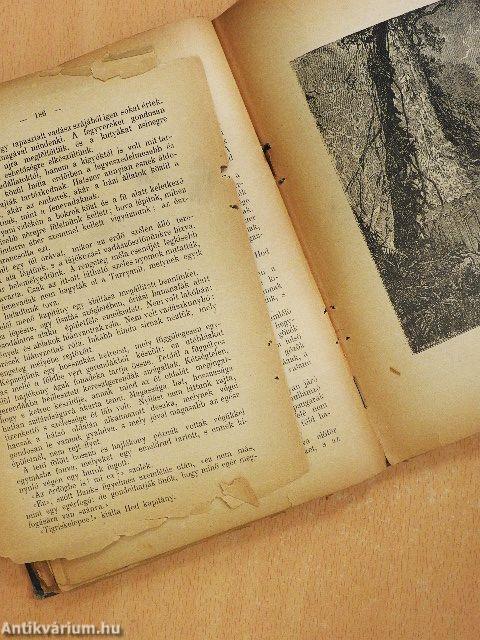 A gőzház (rossz állapotú)