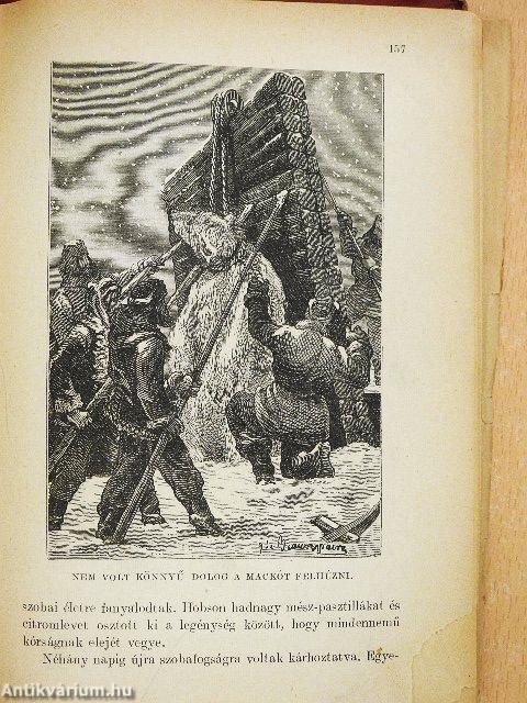 A bundák hazája (rossz állapotú)