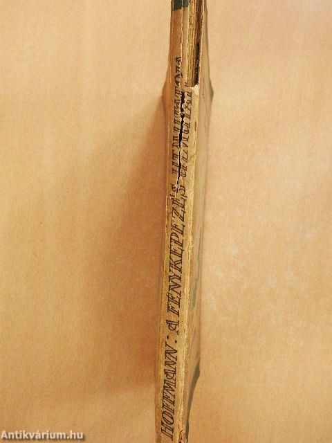 A fényképezés útmutatója (rossz állapotú)