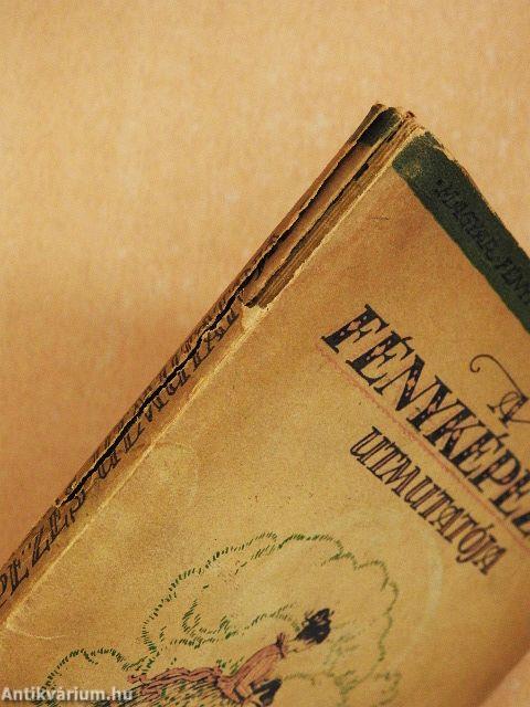 A fényképezés útmutatója (rossz állapotú)