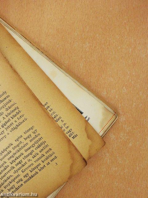 A fényképezés útmutatója (rossz állapotú)