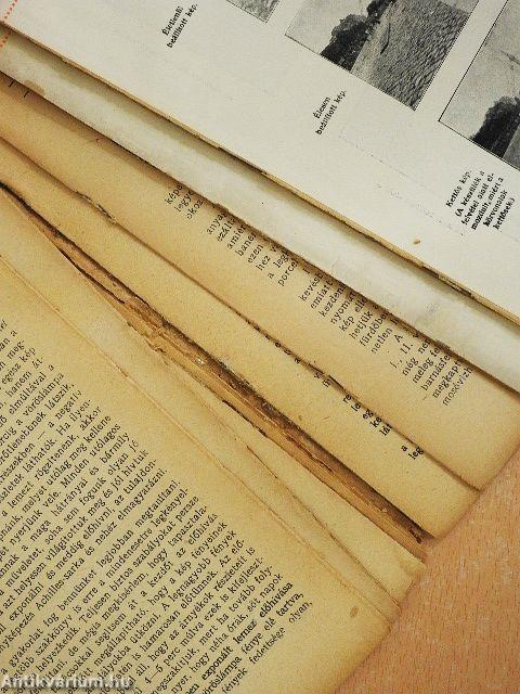 A fényképezés útmutatója (rossz állapotú)