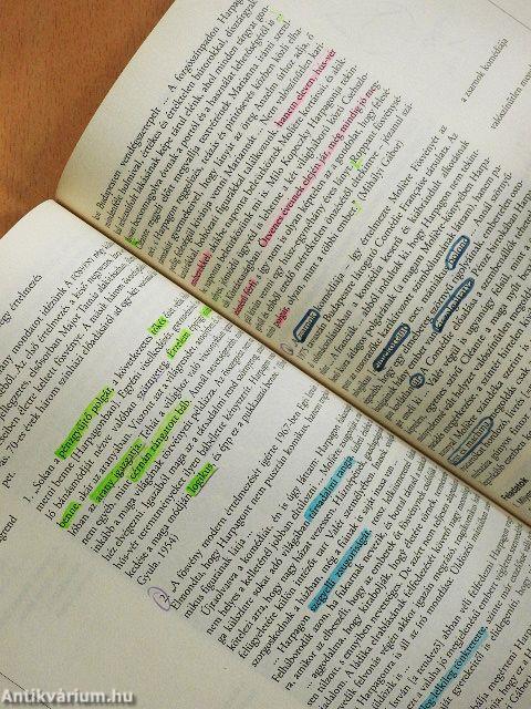 A szöveg vonzásában I. 