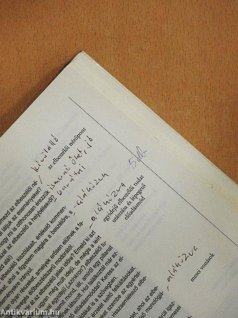 A szöveg vonzásában I. 