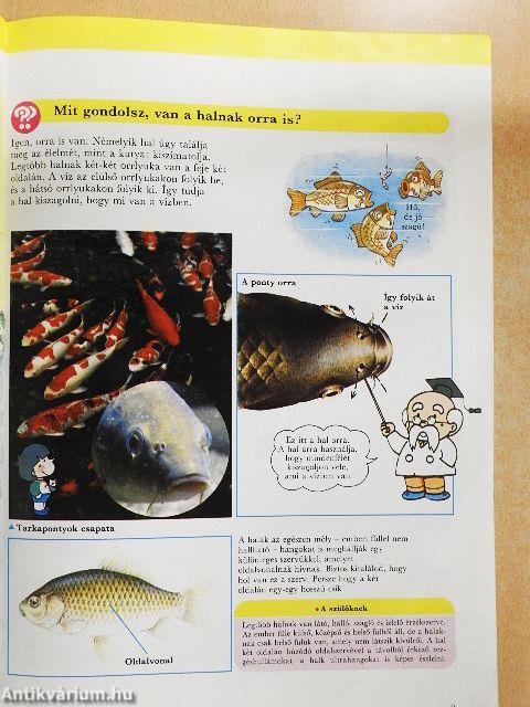 Élet a vizekben