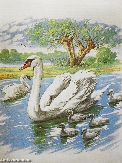 Anya és gyermeke az állatvilágban