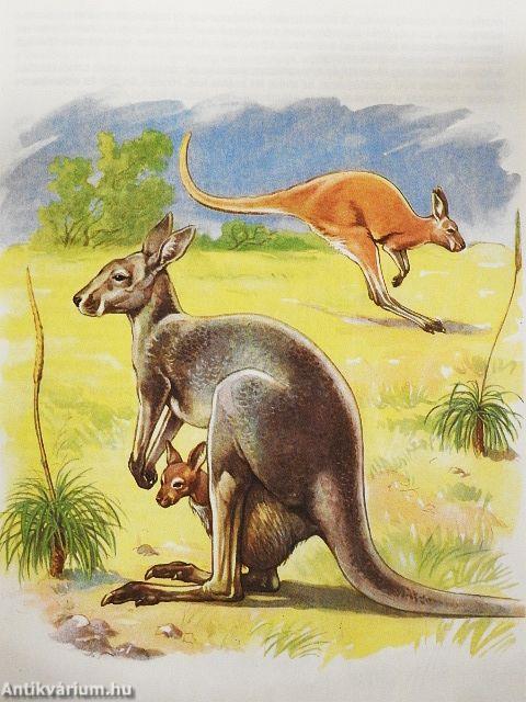 Anya és gyermeke az állatvilágban