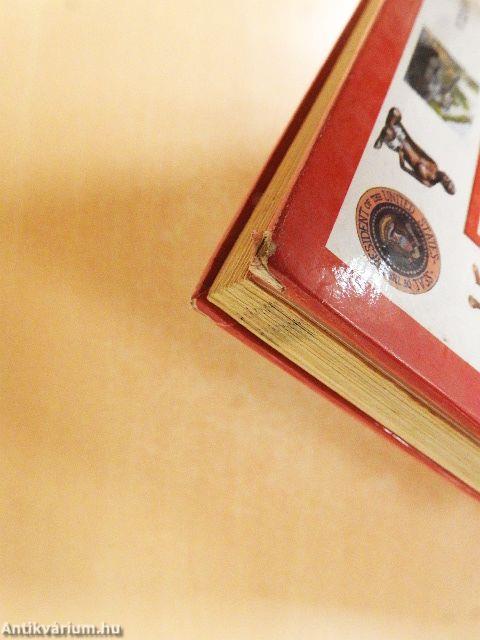 Képes világtörténelmi kronológia gyermekeknek