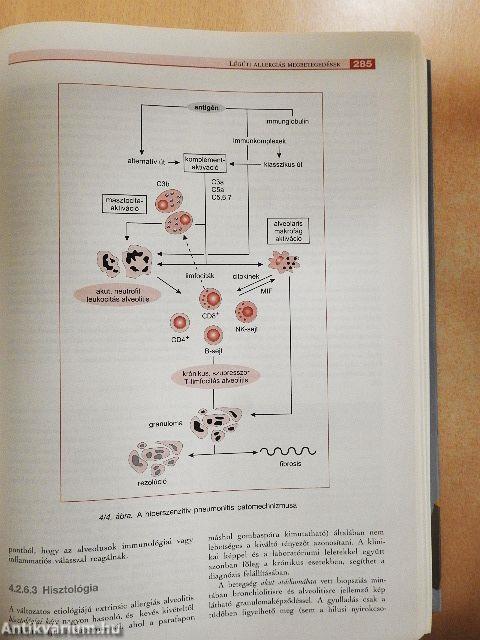 Klinikai immunológia