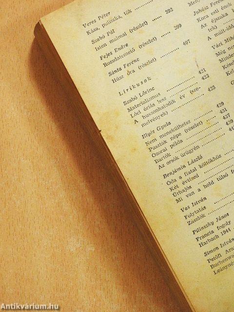 Szöveggyűjtemény a XX. század magyar irodalmából