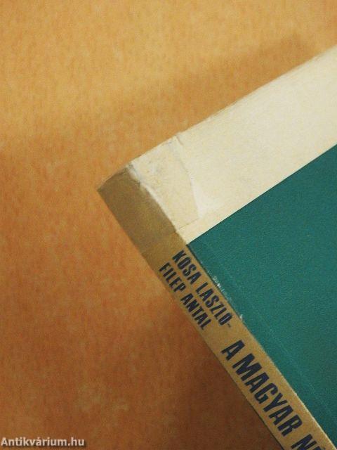 A magyar nép táji-történeti tagolódása