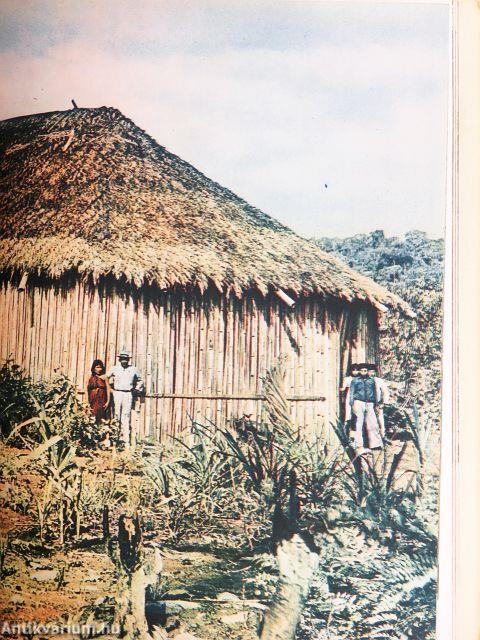 A fejvadászok földjén