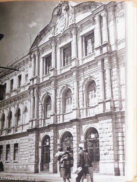 A fejvadászok földjén