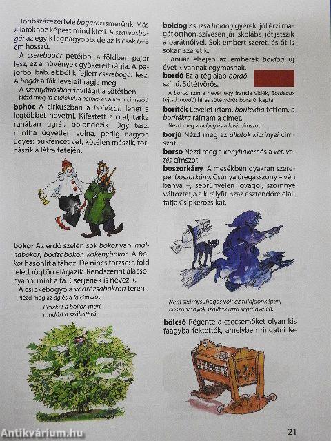 Ablak-Zsiráf