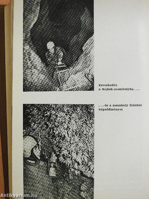 Aggteleki-karsztvidék