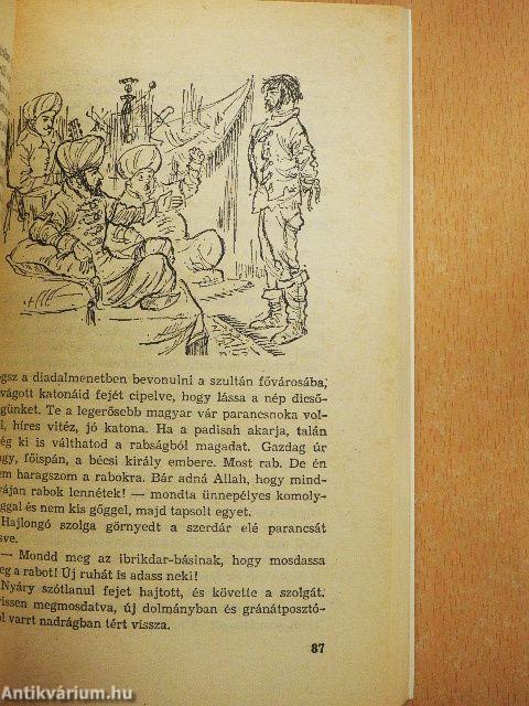 A félhold árnyékában