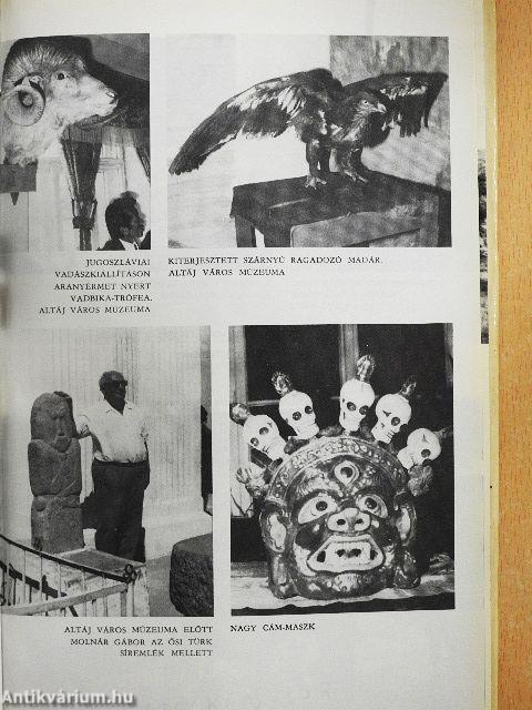 Az Arany-Góbi kősivatagában