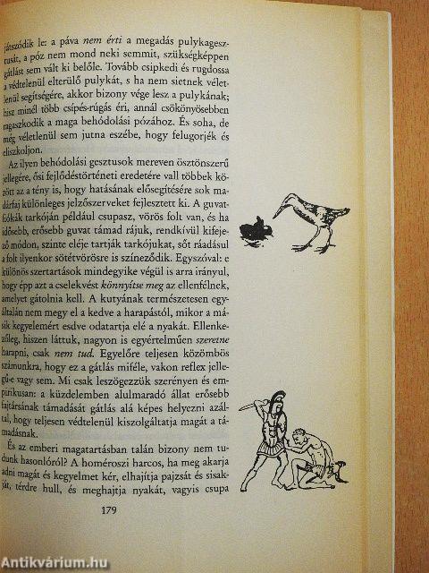 Salamon király gyűrűje