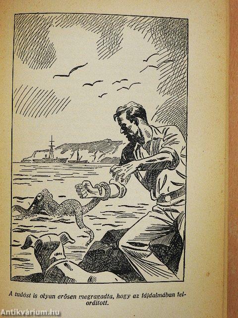 Tengereken innen, tengereken túl