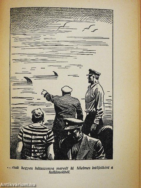 Tengereken innen, tengereken túl